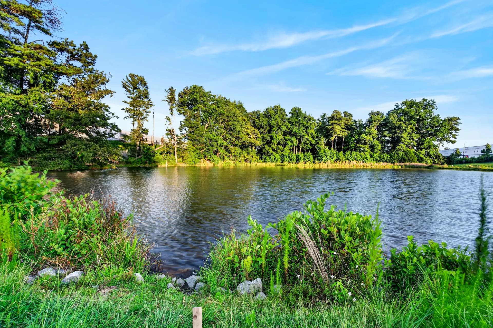 The Lakeside